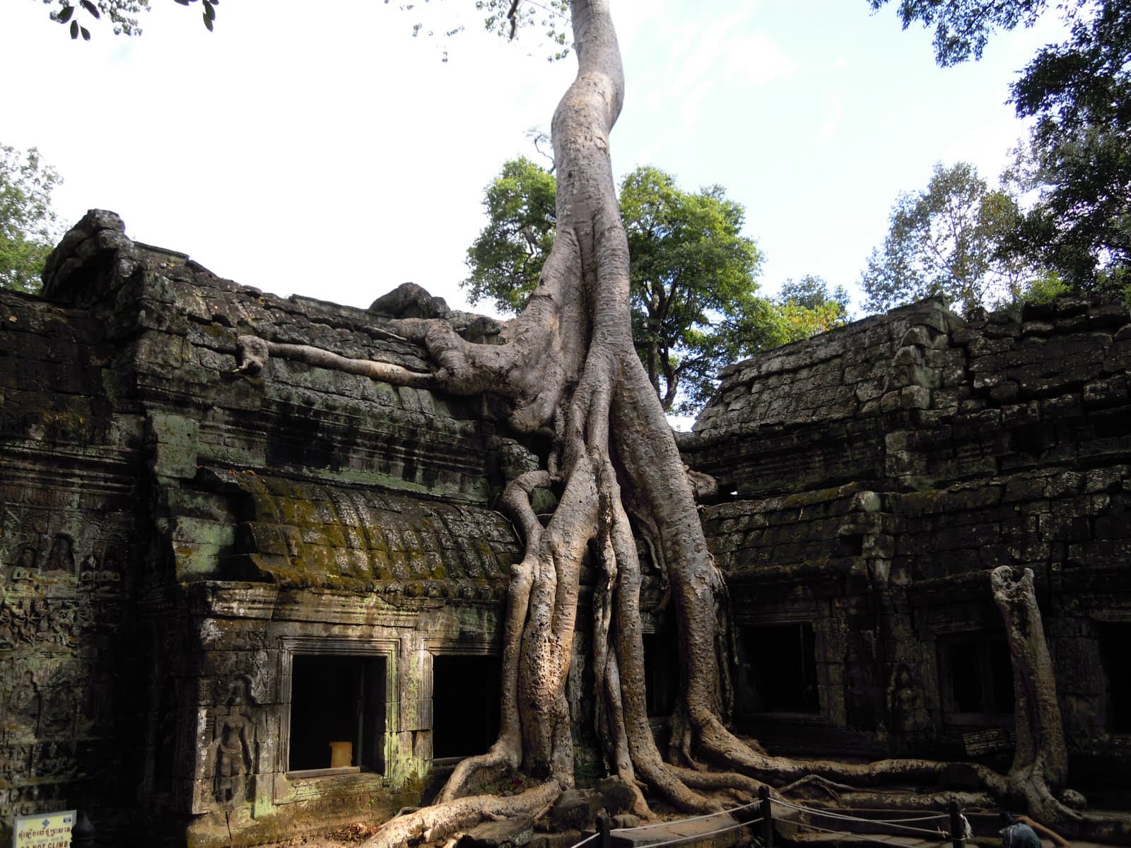 Cambogia