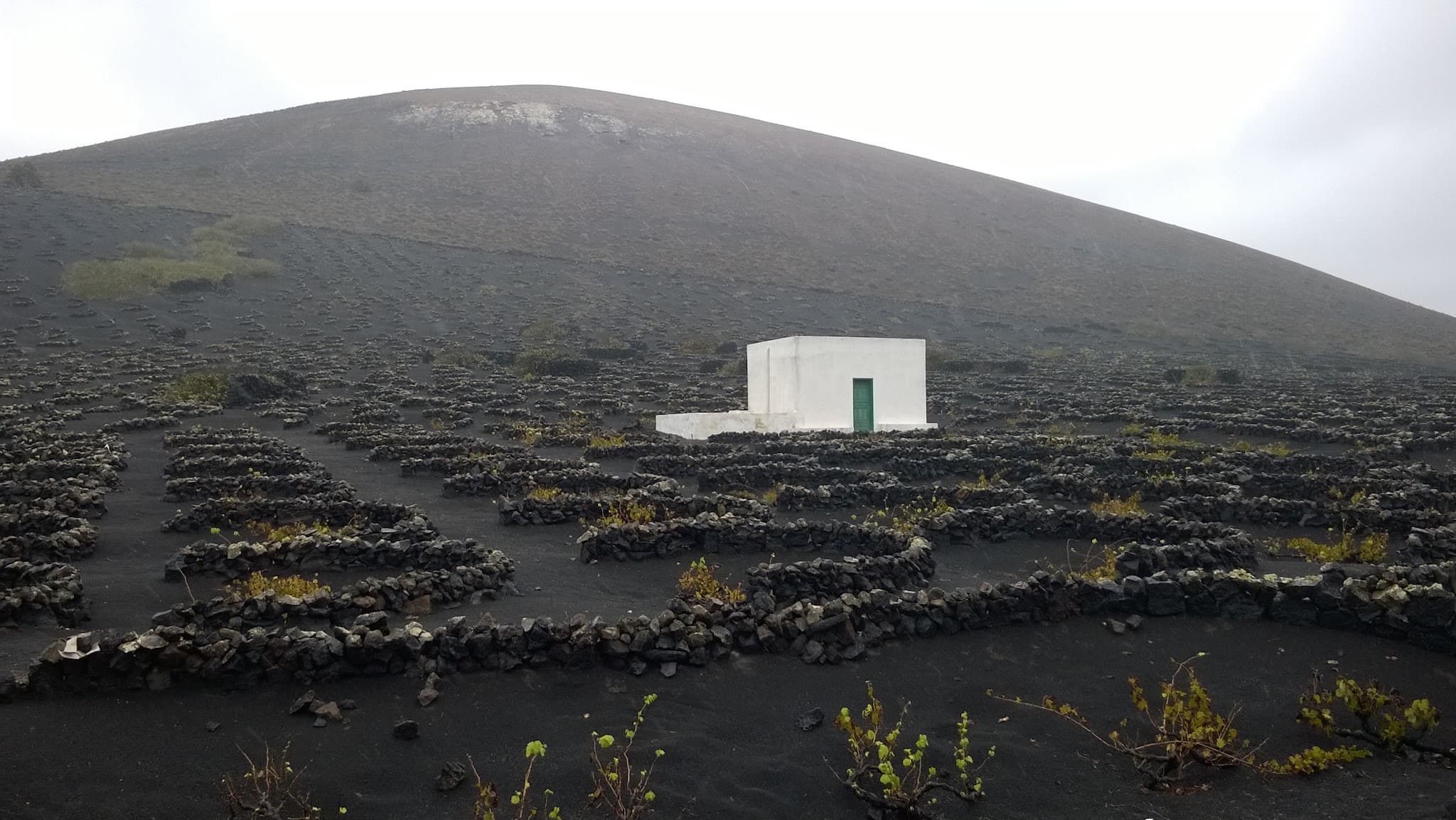 Canarie 2014