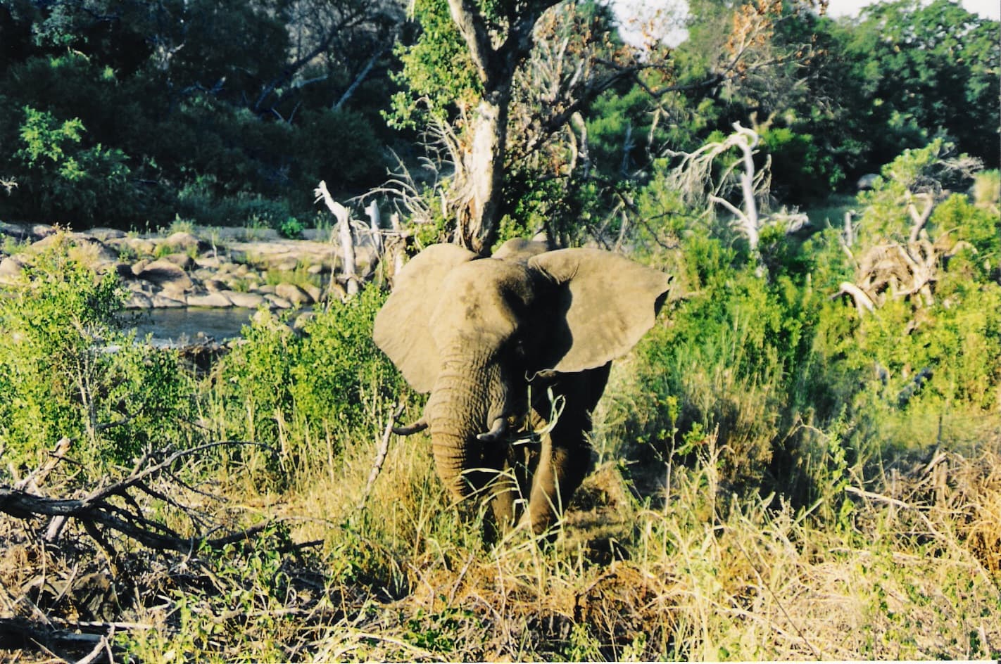 Sud Africa